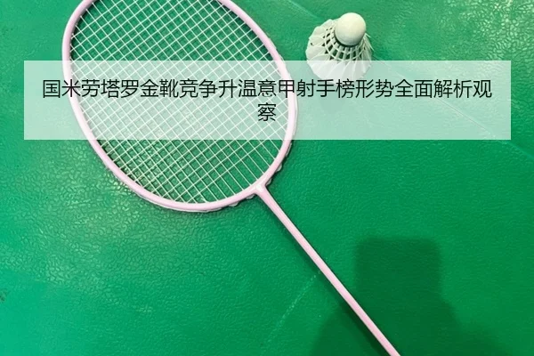 国米劳塔罗金靴竞争升温意甲射手榜形势全面解析观察